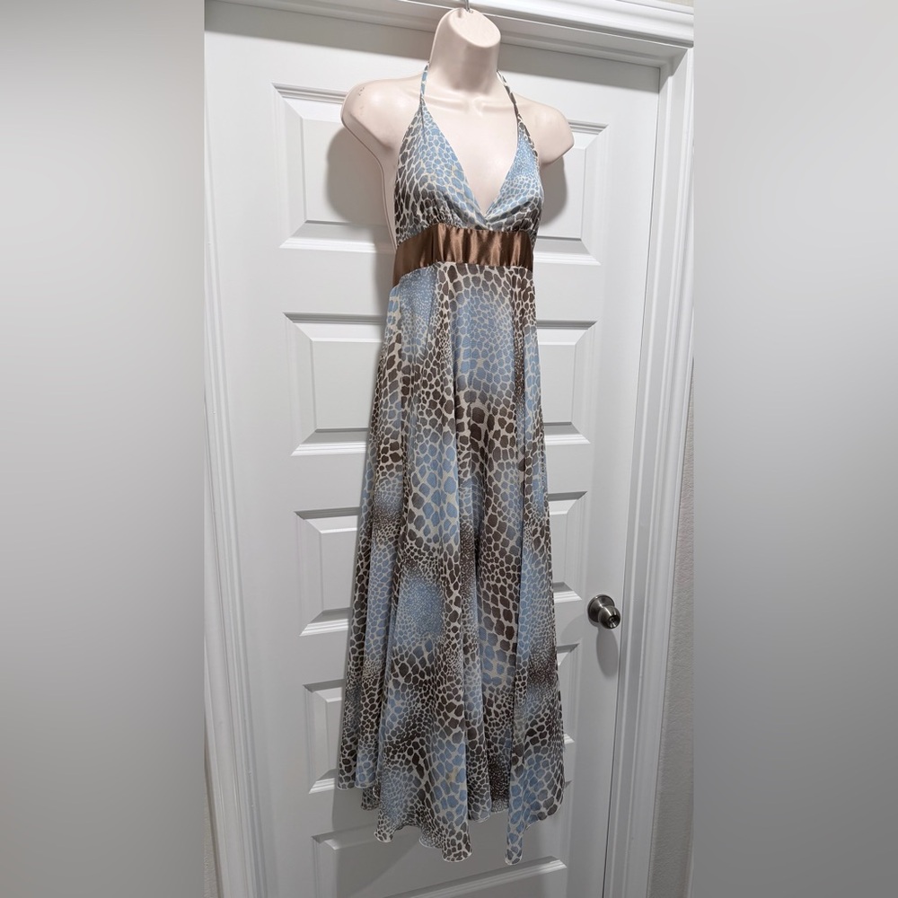 Tricia Fix Leopard and Sky Blue Dress